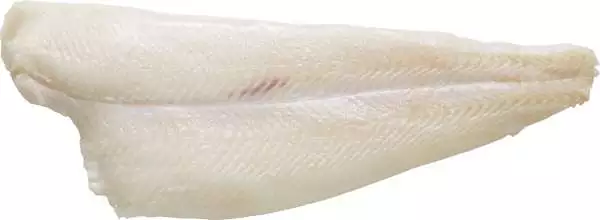 Hälleflundrafile